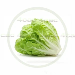 4cP011850AI生成素材