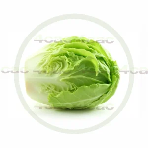 4cP011851AI生成素材