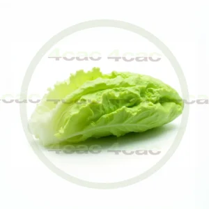 4cP011852AI生成素材