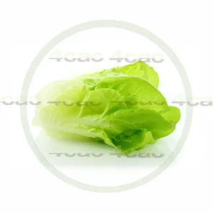 4cP011853AI生成素材