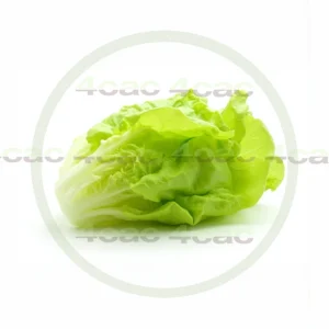 4cP011854AI生成素材