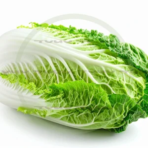 4cP011855AI生成素材