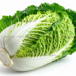 4cP011856AI生成素材