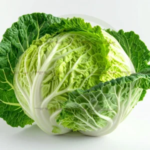 4cP011857AI生成素材