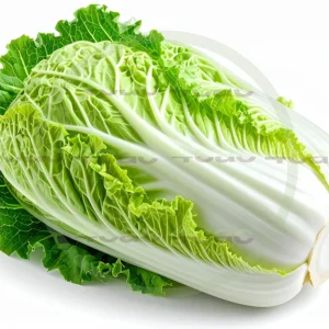 4cP011858AI生成素材