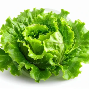 4cP011859AI生成素材