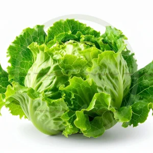 4cP011860AI生成素材