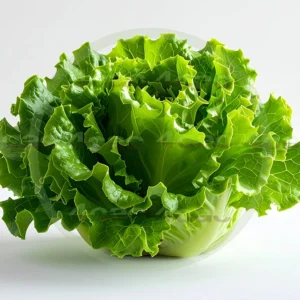 4cP011861AI生成素材