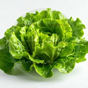 4cP011862AI生成素材