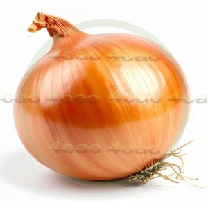 4cP011863AI生成素材