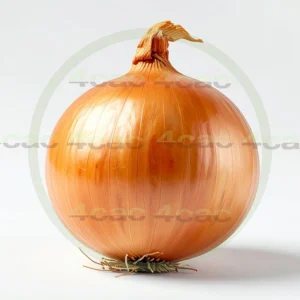 4cP011865AI生成素材