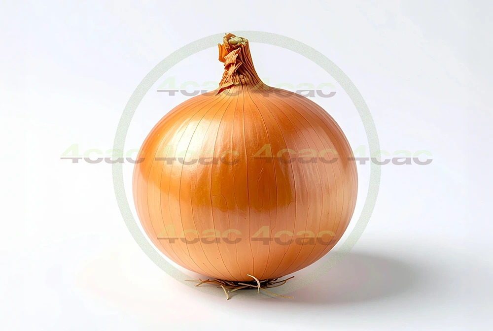 4cP011866AI生成素材