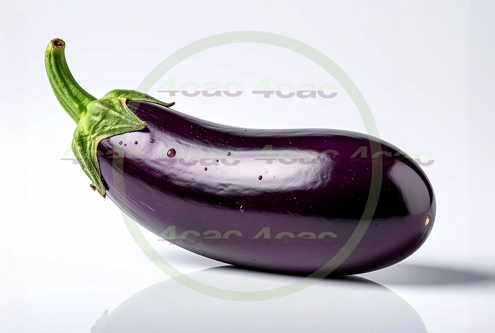 4cP011869AI生成素材