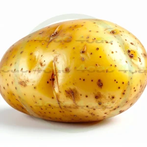 4cP011878AI生成素材