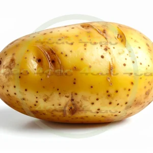 4cP011879AI生成素材