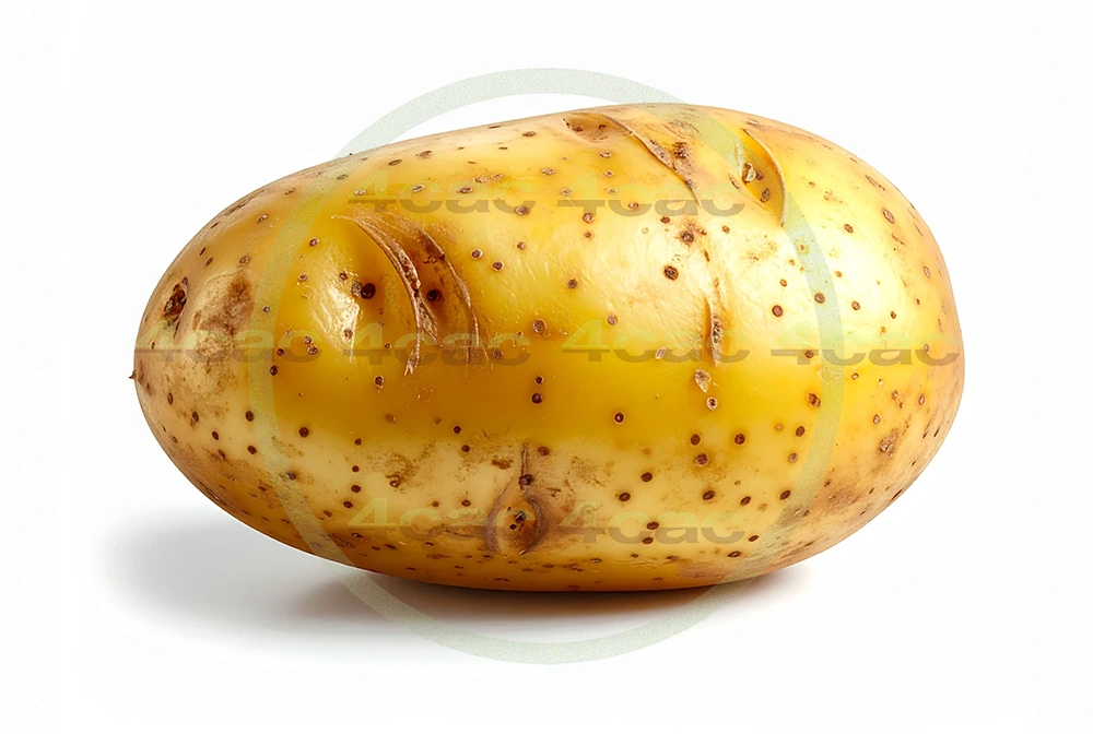 4cP011879AI生成素材