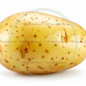 4cP011880AI生成素材