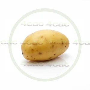 4cP011881AI生成素材