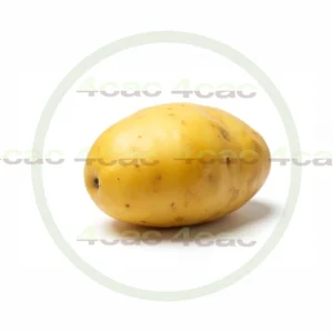 4cP011882AI生成素材