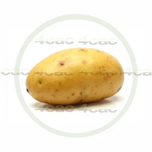 4cP011883AI生成素材