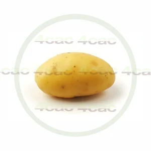 4cP011884AI生成素材