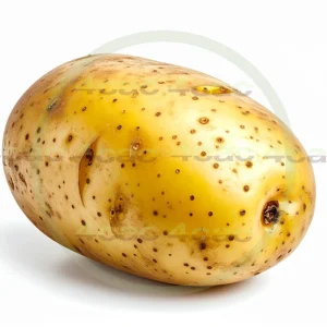 4cP011885AI生成素材