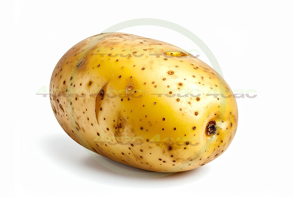 4cP011885AI生成素材