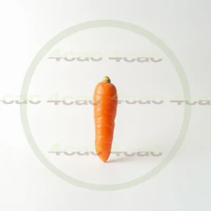 4cP011886AI生成素材