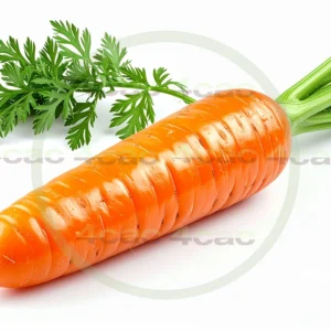 4cP011889AI生成素材