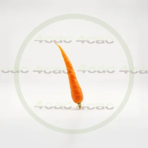 4cP011892AI生成素材