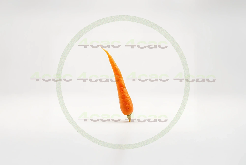 4cP011892AI生成素材