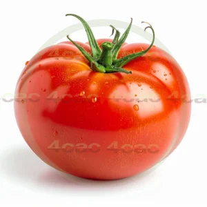 4cP011896AI生成素材