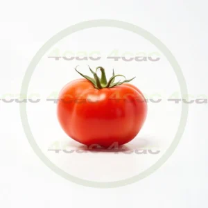 4cP011900AI生成素材