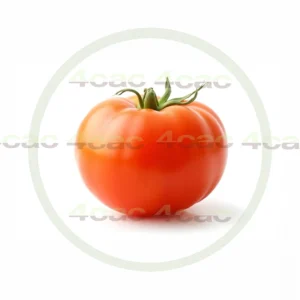 4cP011902AI生成素材