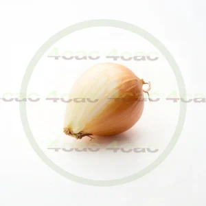 4cP011904AI生成素材