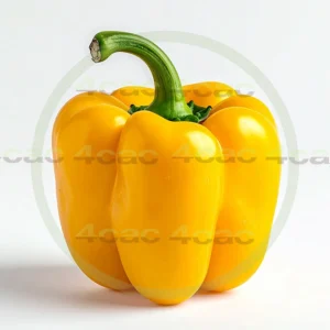 4cP011907AI生成素材