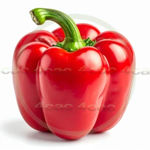 4cP011908AI生成素材