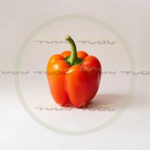 4cP011909AI生成素材