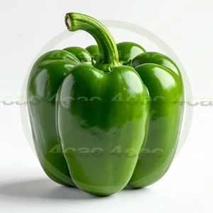 4cP011912AI生成素材