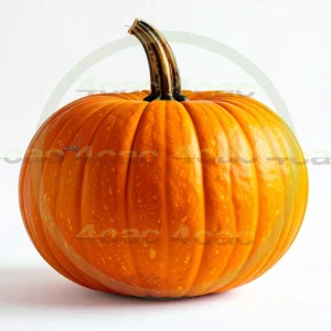 4cP011915AI生成素材