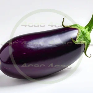 4cP011916AI生成素材