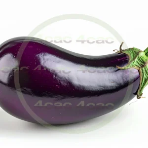 4cP011917AI生成素材