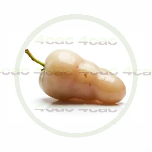 4cP011919AI生成素材