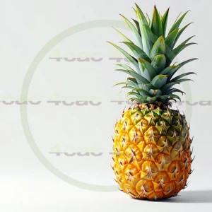 4cP011922AI生成素材