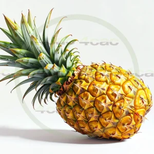 4cP011923AI生成素材