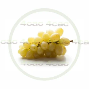 4cP011924AI生成素材