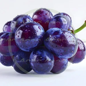 4cP011927AI生成素材