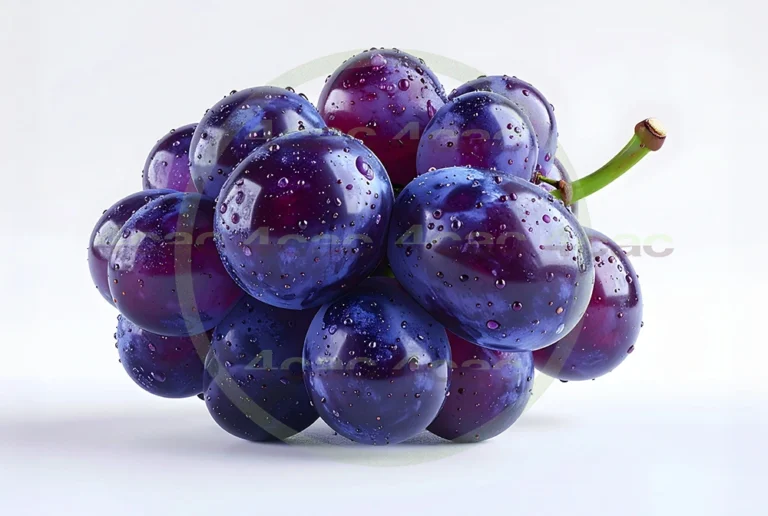 4cP011927AI生成素材