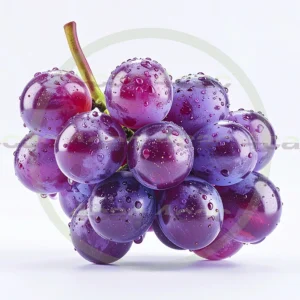 4cP011928AI生成素材