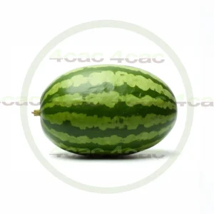 4cP011929AI生成素材